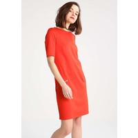 Wallis Petite PONTE Sukienka z dżerseju orange WP021C01P
