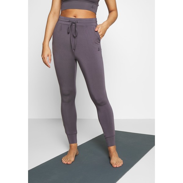 Curare Yogawear LONG PANTS Spodnie treningowe greyberry CY541E01L