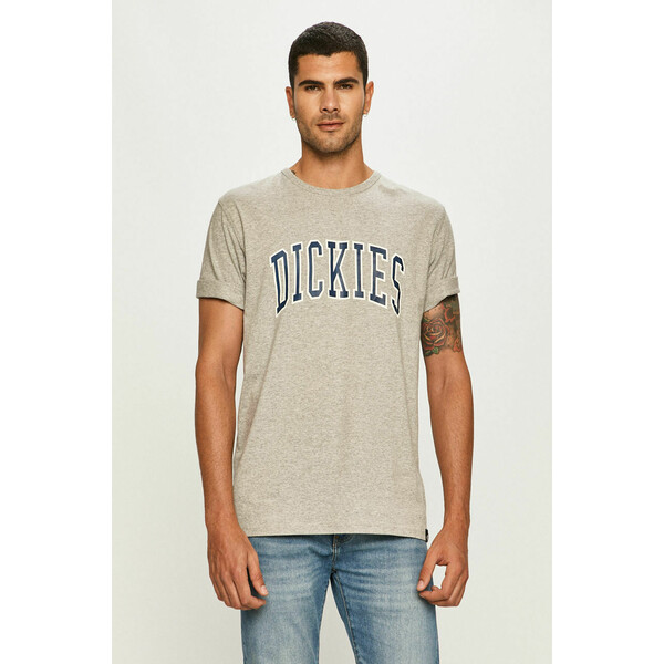 Dickies T-shirt 4900-TSM10I