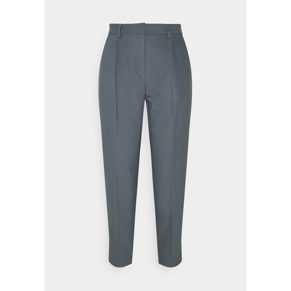 Bruuns Bazaar CINDY DAGNY PANT Spodnie materiałowe graystone BR321A024