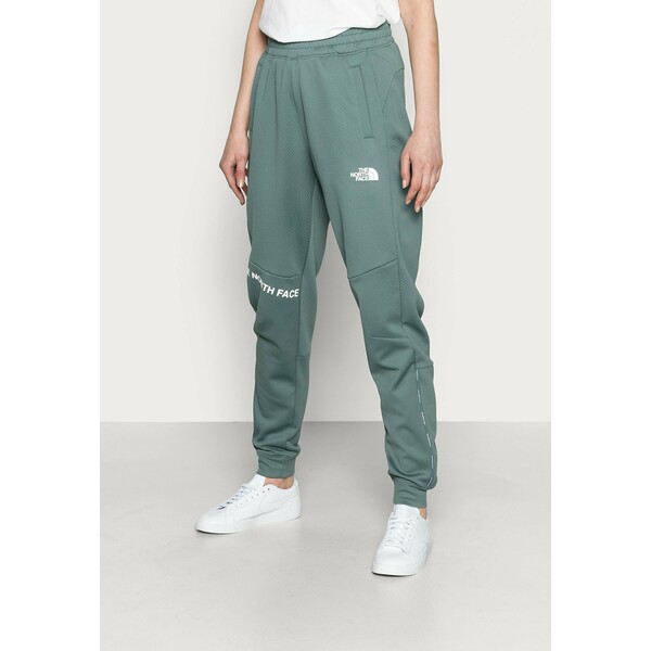The North Face PANT Spodnie treningowe balsam green TH321A00R