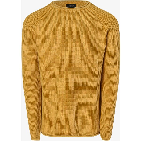 Aygill's Sweter męski – Bastian 510065-0001