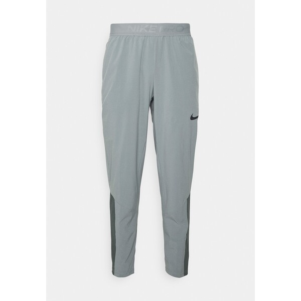 Nike Performance FLEX VENT MAX PANT Spodnie treningowe particle grey/iron grey/black N1242E22N-C11