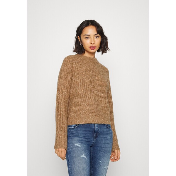 ONLY Petite ONLFELICIA LIFE Sweter toasted coconut OP421I09V-A11