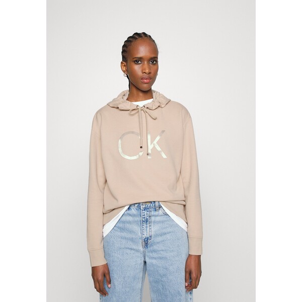 Calvin Klein SHINE LOGO HOODIE Bluza moccasin 6CA21J01Y-B11