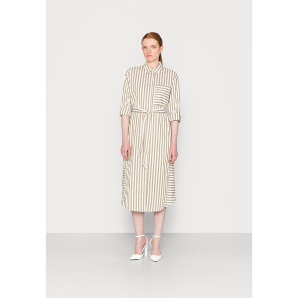 TOM TAILOR DRESS STRIPED POPLIN Sukienka letnia olive white vertical stripe TO221C0N6-N11