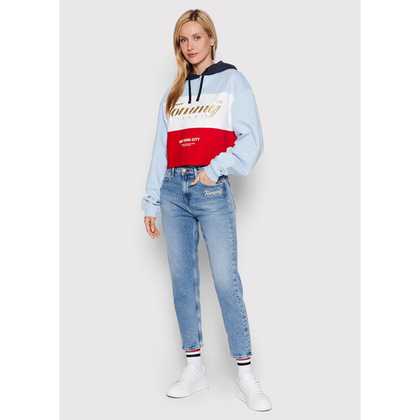 Tommy Jeans Bluza Crop Archive DW0DW13831 Kolorowy Relaxed Fit