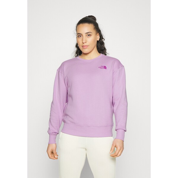 The North Face RELAXED CREW VERTICAL Bluza lupine TH341G07B-J11