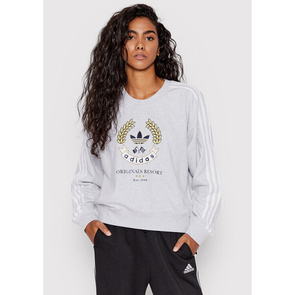 adidas Bluza Graphic HL6557 Szary Loose Fit