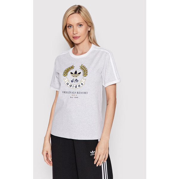 adidas T-Shirt Graphic HL6554 Szary Loose Fit