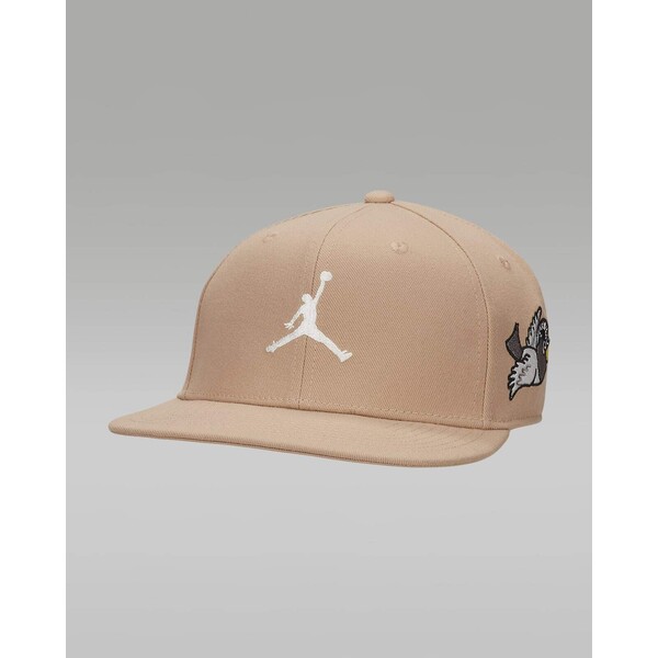 Nike Regulowana czapka Jordan Pro Cap