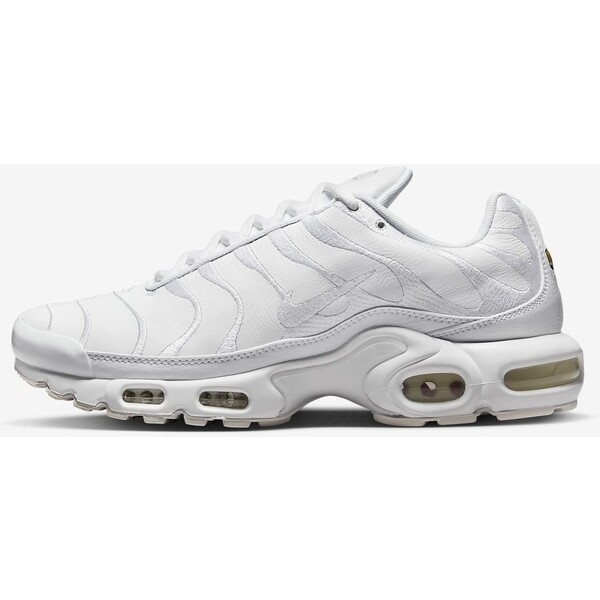 Buty męskie Nike Air Max Plus AJ2029-100