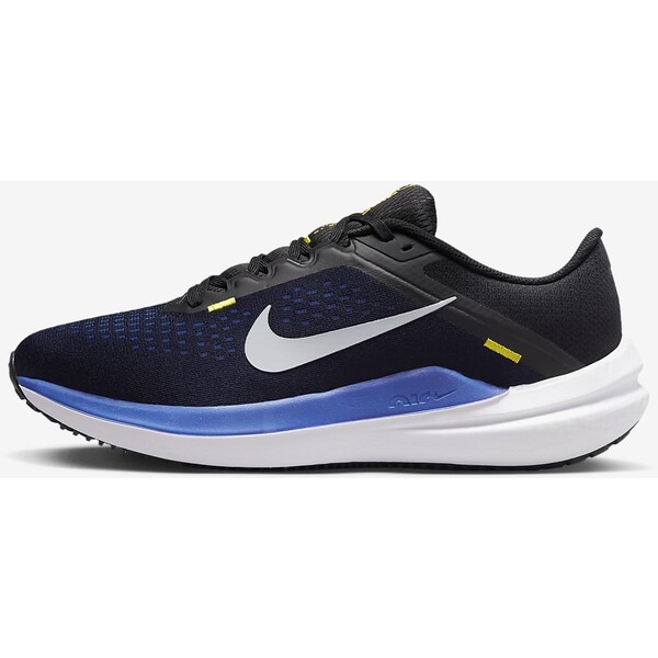 Męskie buty do biegania po asfalcie Nike Winflo 10 DV4022-005