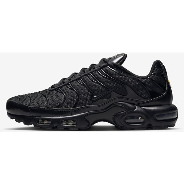 Buty męskie Nike Air Max Plus 604133-050