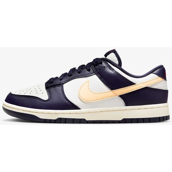 Buty męskie Nike Dunk Low Retro FV8106-181