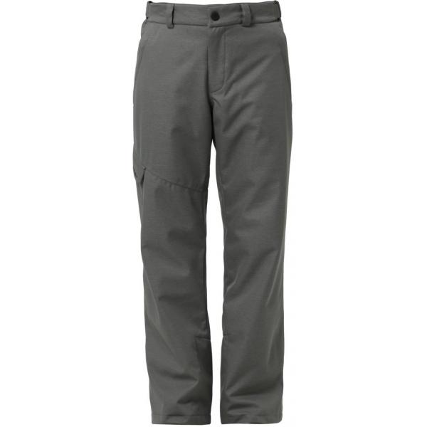 Ziener TEVIOT Spodnie narciarskie grey metal Z1042E009-C11