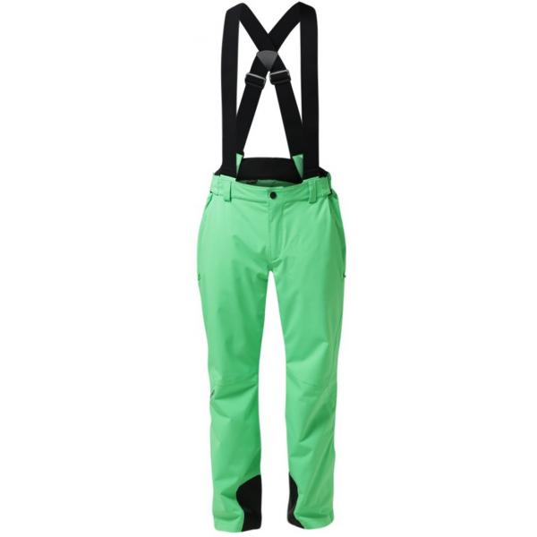 Ziener TELMO Spodnie narciarskie signal green Z1042E008-M11