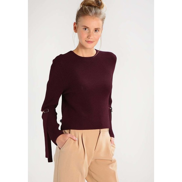 Cameo Collective FRAMED Sweter aubergine CQ421I005
