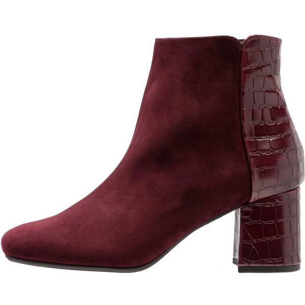 Peter Kaiser TOSSA Ankle boot cabernet cocco PE211N02V