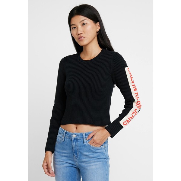 Calvin Klein Jeans CROP LOGO CREW NECK Sweter black C1821I025